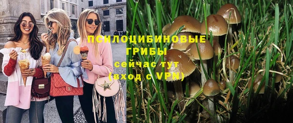 ешки Магас