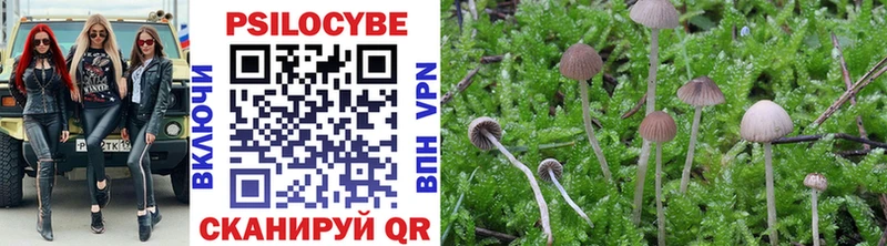 Галлюциногенные грибы Psilocybine cubensis Морозовск